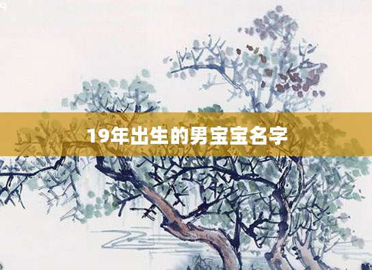 19年出生的男宝宝名字