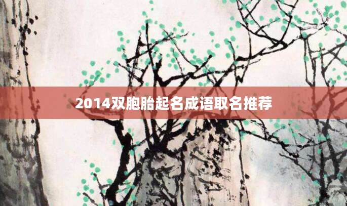 2014双胞胎起名成语取名推荐