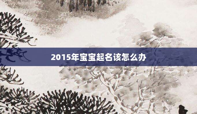 2015年宝宝起名该怎么办