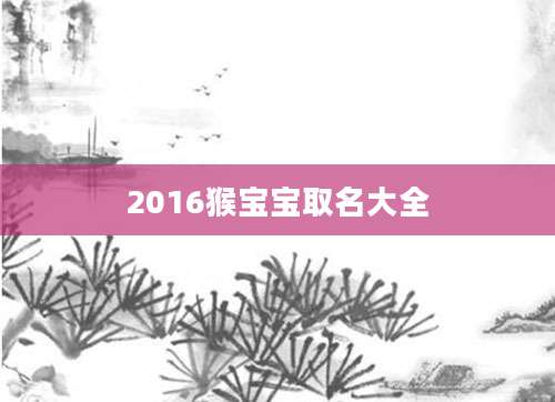 2016猴宝宝取名大全