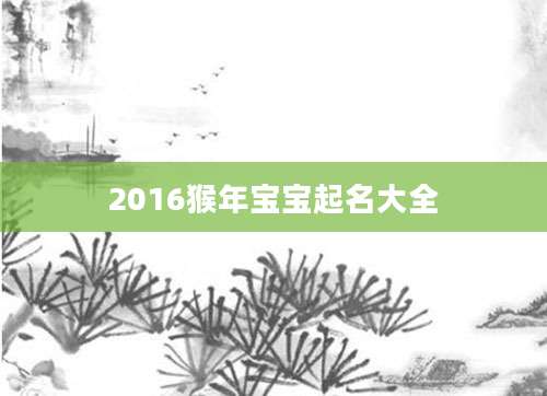 2016猴年宝宝起名大全