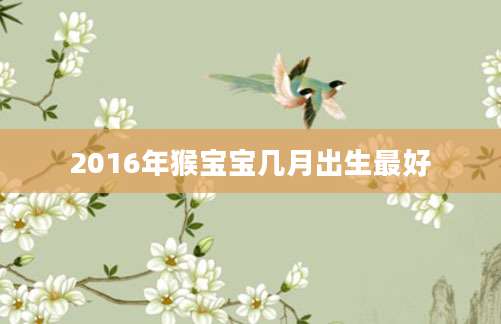 2016年猴宝宝几月出生最好