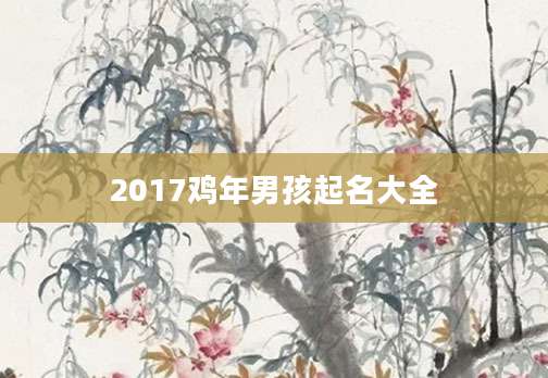 2017鸡年男孩起名大全