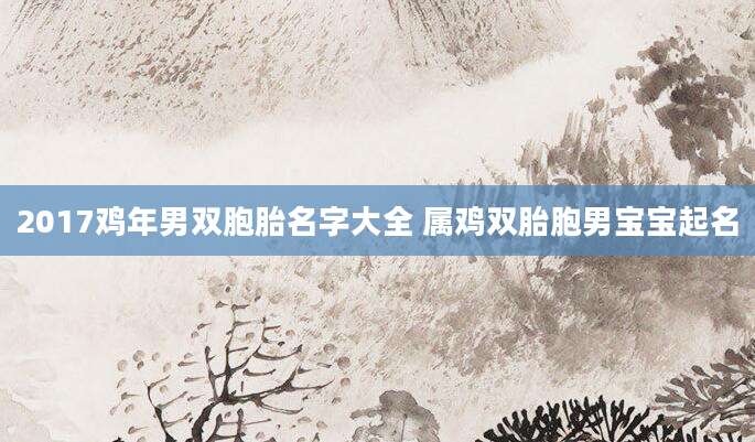 2017鸡年男双胞胎名字大全 属鸡双胎胞男宝宝起名