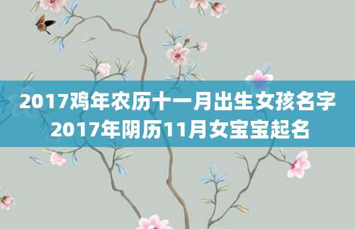 2017鸡年农历十一月出生女孩名字 2017年阴历11月女宝宝起名