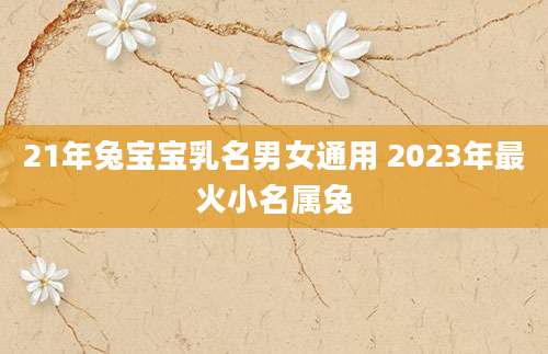 21年兔宝宝乳名男女通用 2023年最火小名属兔