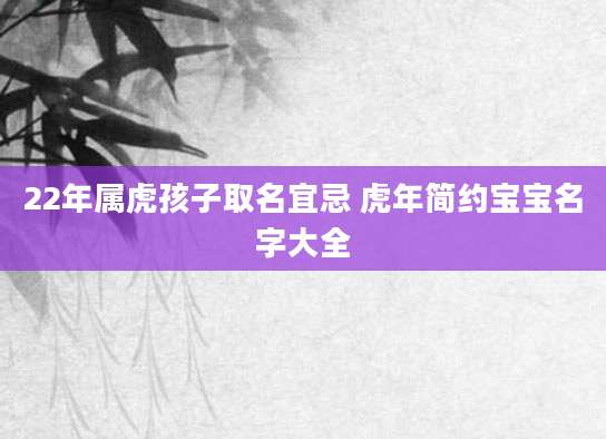 22年属虎孩子取名宜忌 虎年简约宝宝名字大全