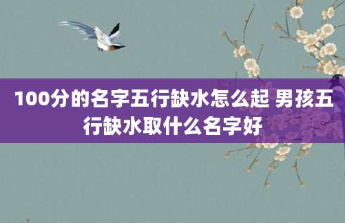 100分的名字五行缺水怎么起 男孩五行缺水取什么名字好