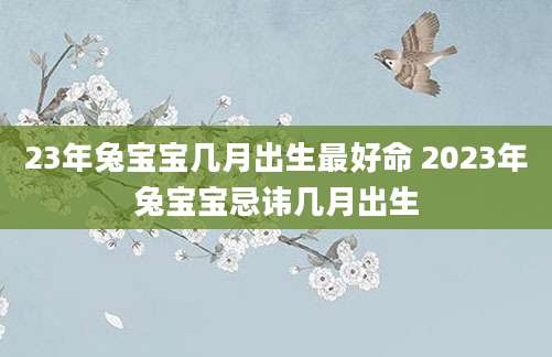 23年兔宝宝几月出生最好命 2023年兔宝宝忌讳几月出生