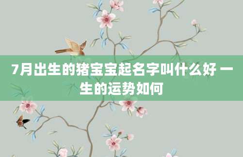 7月出生的猪宝宝起名字叫什么好 一生的运势如何