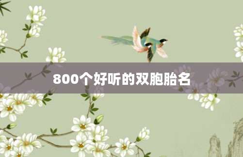 800个好听的双胞胎名