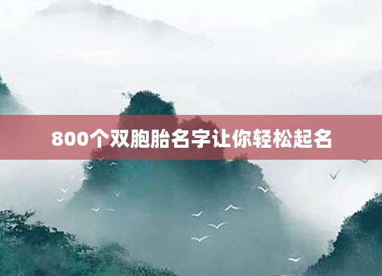 800个双胞胎名字让你轻松起名