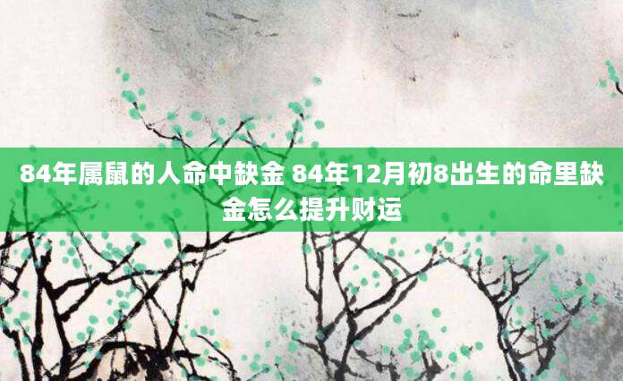 84年属鼠的人命中缺金 84年12月初8出生的命里缺金怎么提升财运