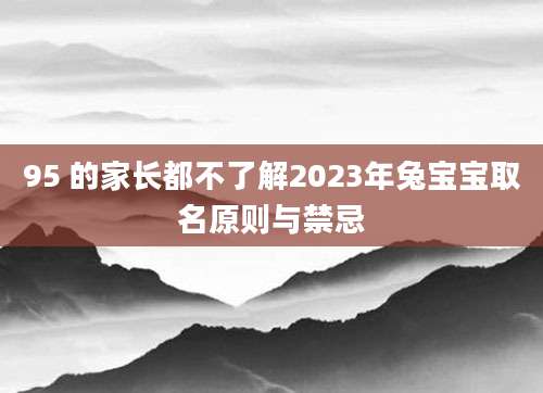 95 的家长都不了解2023年兔宝宝取名原则与禁忌