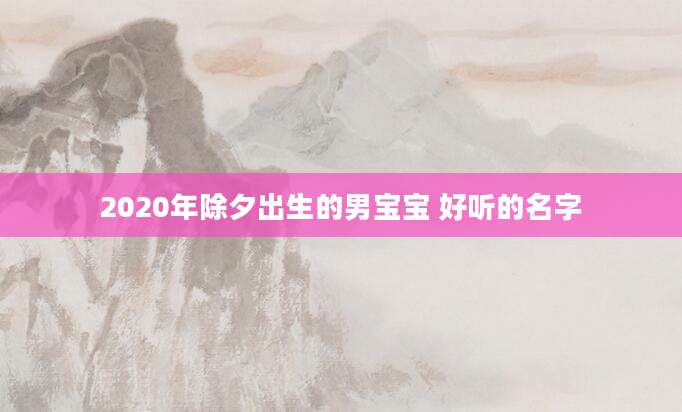 2020年除夕出生的男宝宝 好听的名字