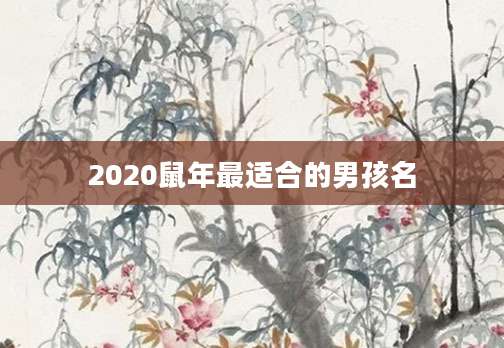 2020鼠年最适合的男孩名