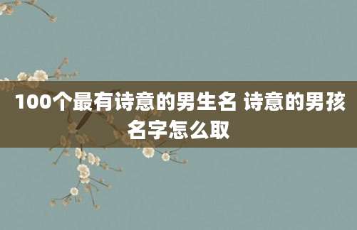 100个最有诗意的男生名 诗意的男孩名字怎么取