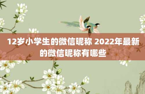 12岁小学生的微信昵称 2022年最新的微信昵称有哪些